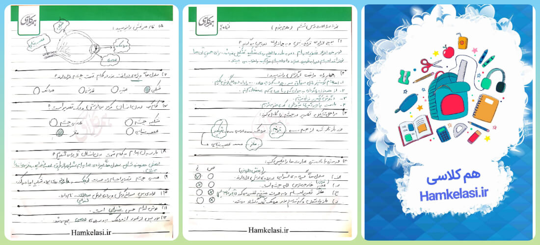 نمونه سوال علوم پنجم درس ششم